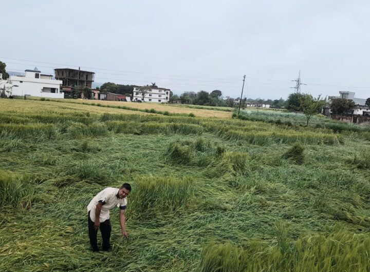 क्या धोखा है प्रधानमंत्री फसल  बीमा योजना? बीमा किश्त 400₹ और मुआवजा मात्र 163₹ का । NIU