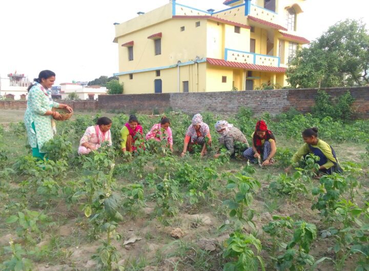 छिददरवाला क्षेत्र की महिलाओं ने  स्वयं सहायता समूह से जुडकर  खड़ा किया खुद का रोजगार, बनीं आत्मनिर्भर l NIU