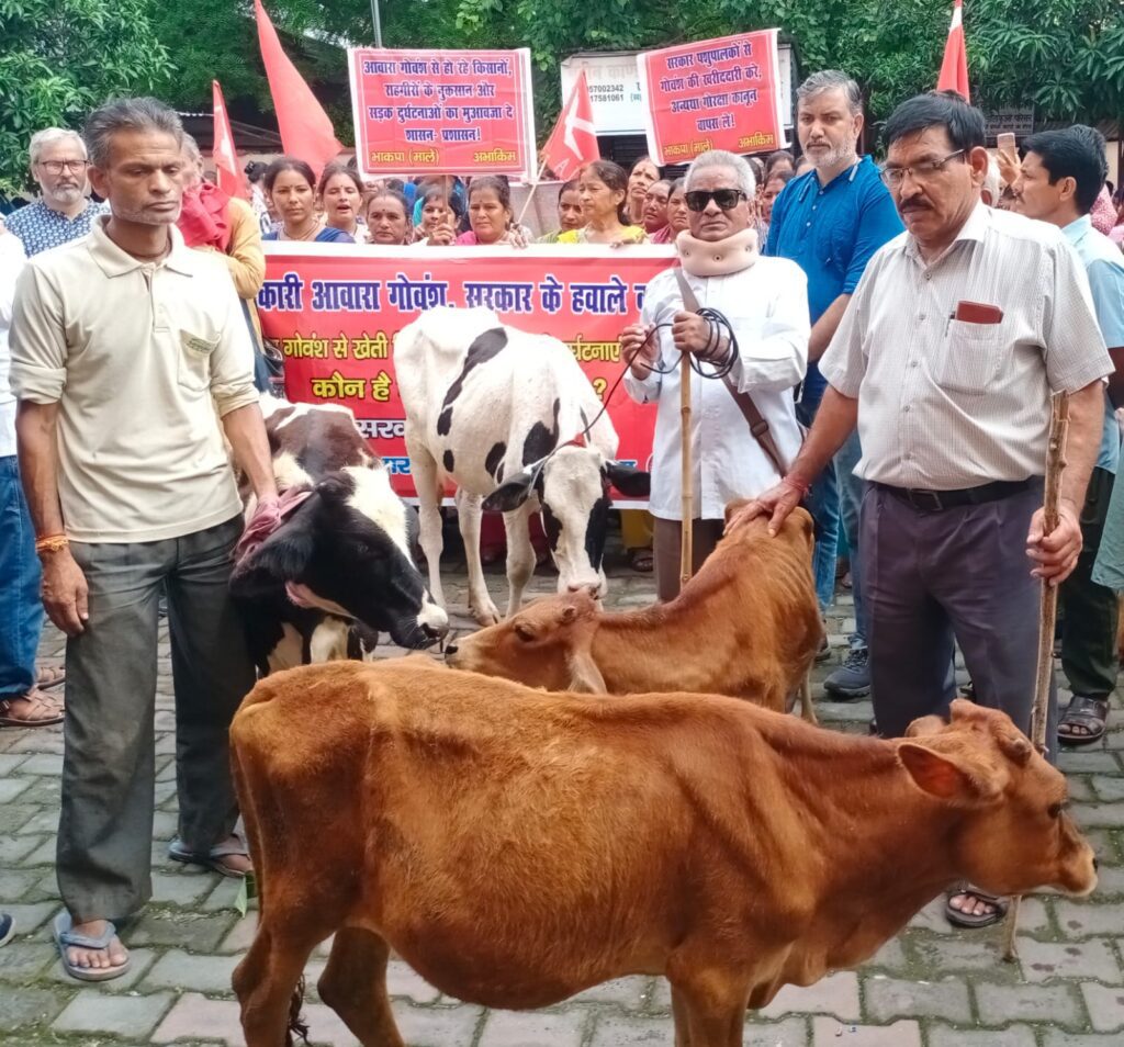 ग्रामीणों ने आवारा गाय बैलों को तहसील लालकुआं में बांधा, सरकार पशुपालकों से गोवंश की खरीददारी करे, अन्यथा गौरक्षा कानून वापस ले : आनन्द सिंह नेगी | NIU